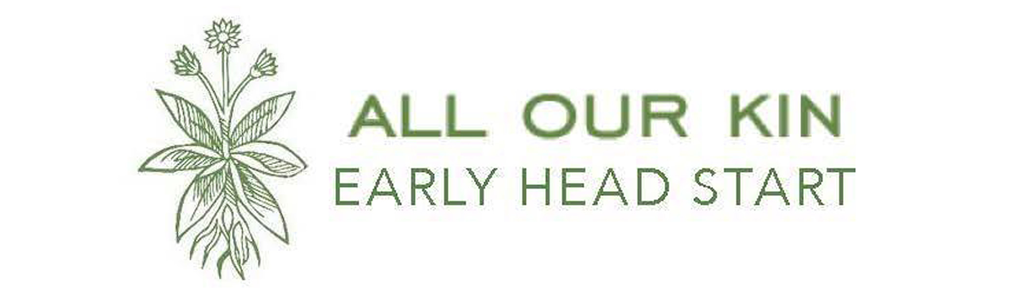 All Our Kin: Company ProfileCategory