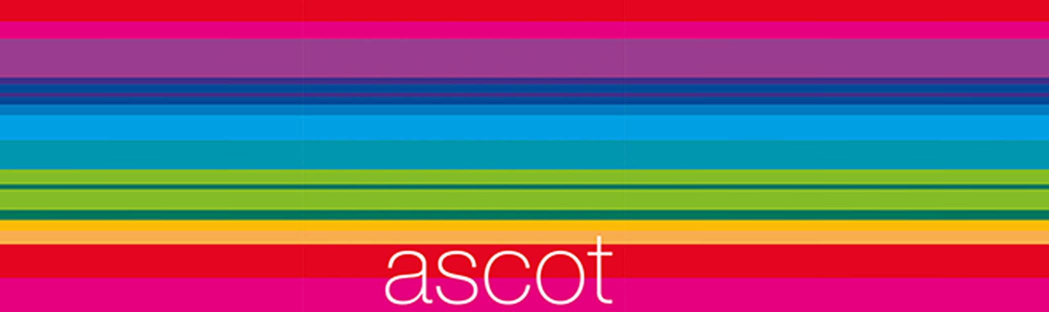 Ascot Group: Company ProfileCategory