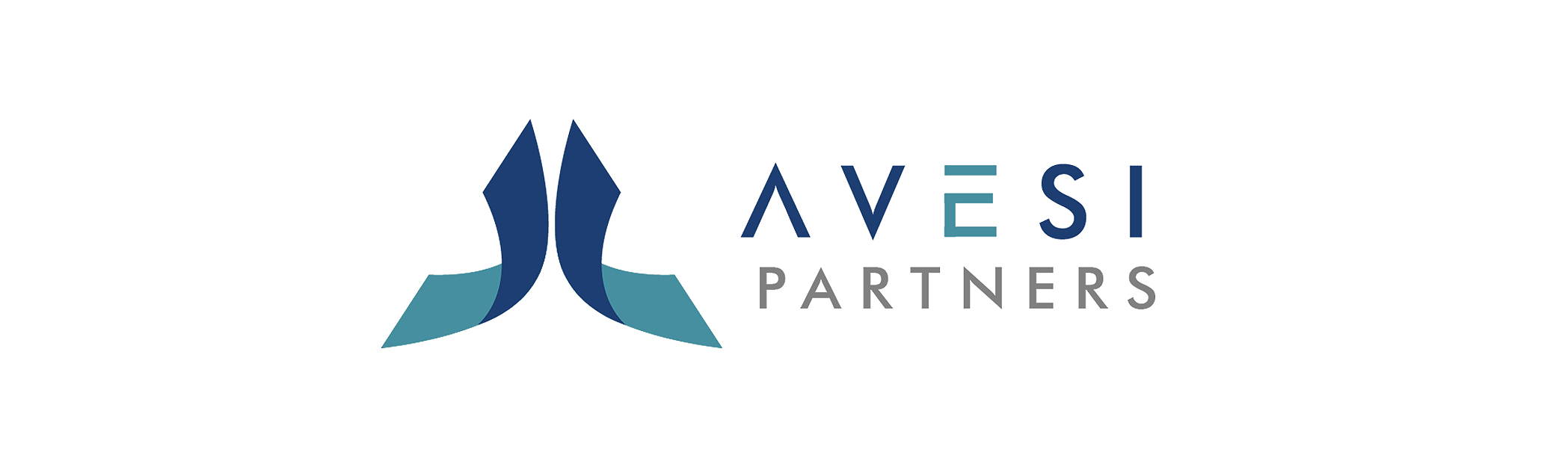 Avesi Partners: Company ProfileCategory