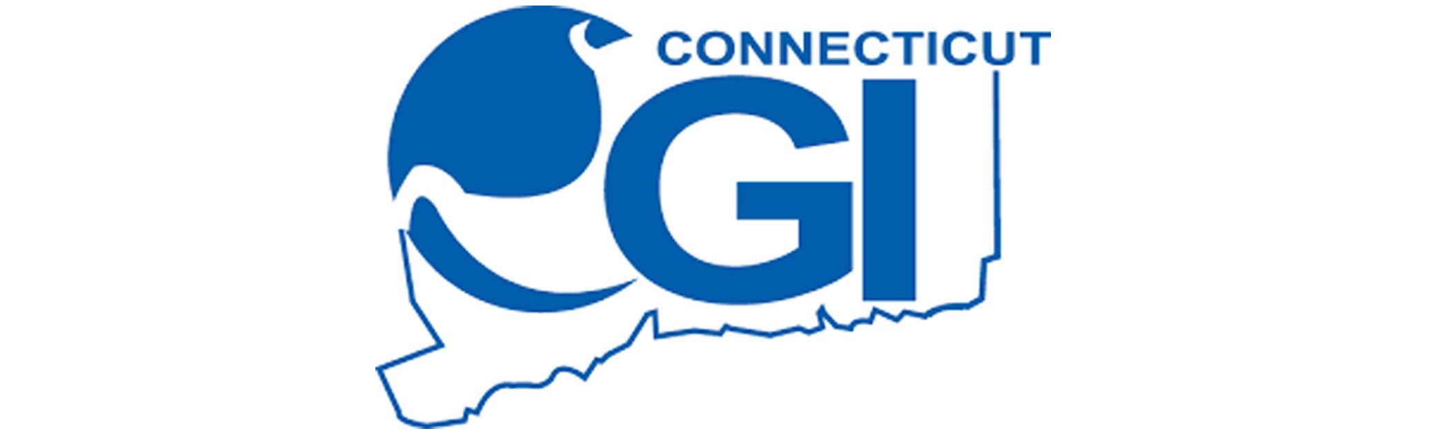 Connecticut GI: Company ProfileCategory
