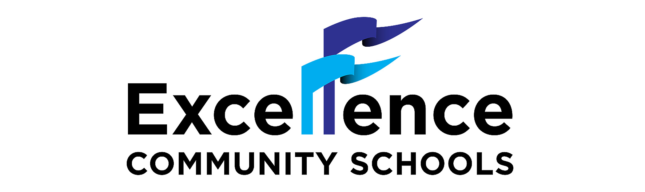 Excellence Community Schools: Company ProfileCategory