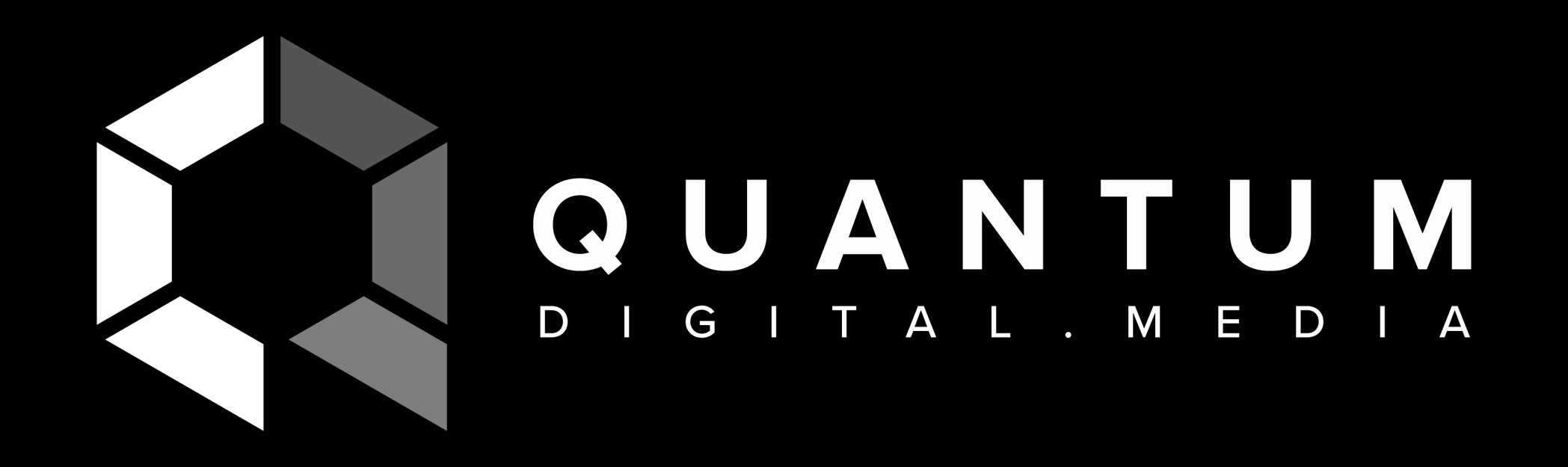 Quantum Digital Media: Company ProfileCategory