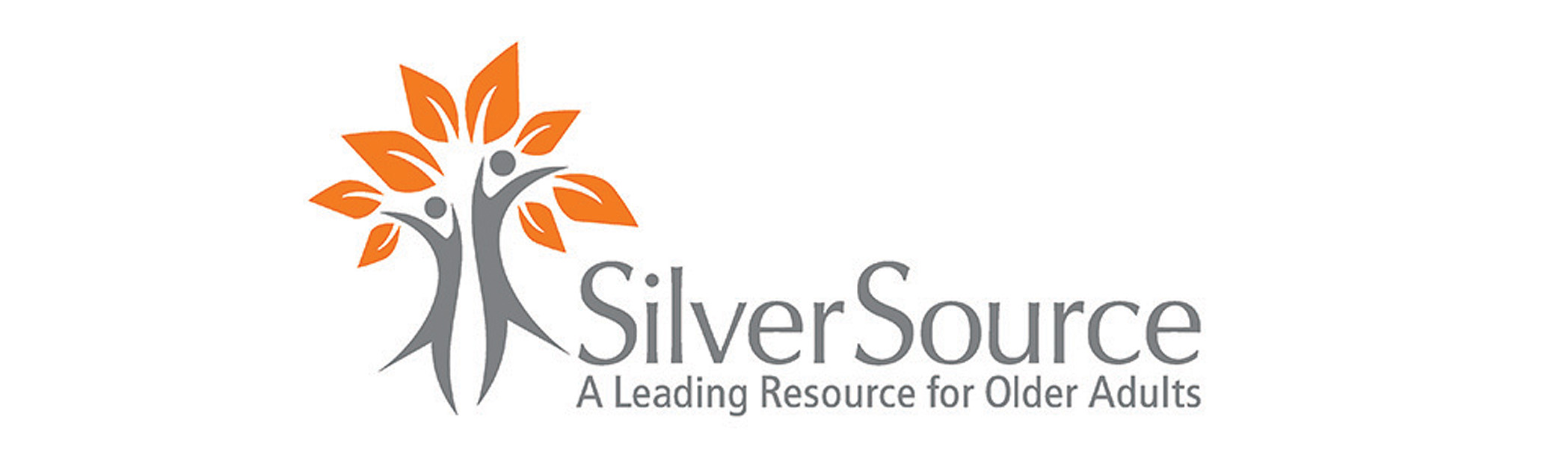 SilverSource: Company ProfileCategory